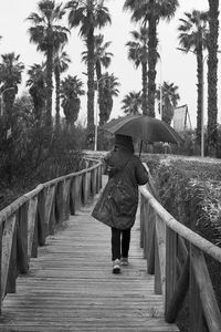 Rear view of woman standing in park