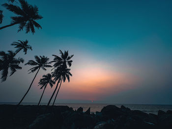 Low angle view of palm trees against sky during sunset