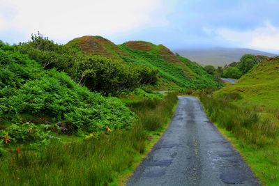 Road amidst green landscape against sky