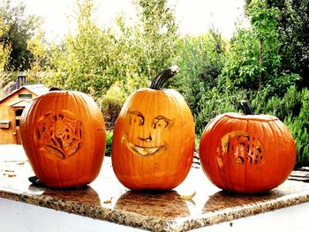 Close-up of pumpkins