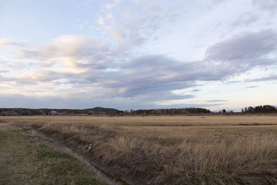 Drainage ditch in dry field and old barn with mixed trees forest seen in the distance