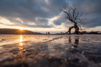 Bare trees on shore against sky during sunset