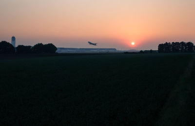 Silhouette birds flying over field against orange sky