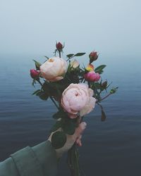 Close-up of hand holding flowering plant