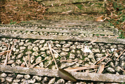 High angle view of steps