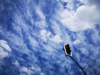 Low angle view of bird flying against sky