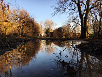 Reflection of bare trees in lake against sky