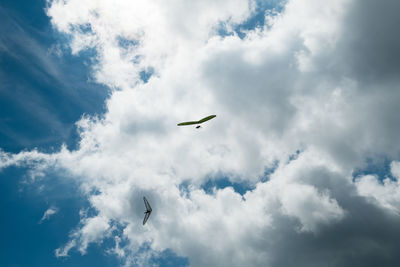 Low angle view of bird flying in sky