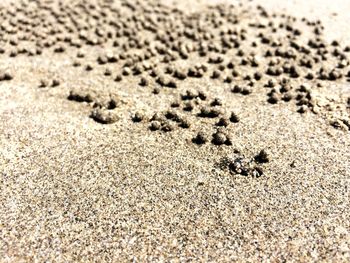 sand