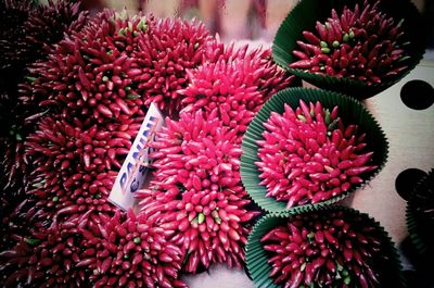 Close-up of red flowers