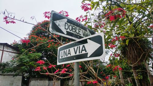 Low angle view of information sign against trees