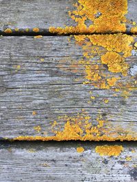 Close-up of wooden plank