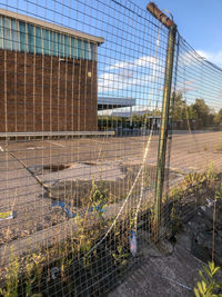 Plants growing by fence against building