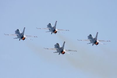 Low angle view of birds flying against clear blue sky