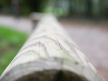 Close-up of leaf on railing