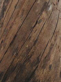 Close-up of wooden plank