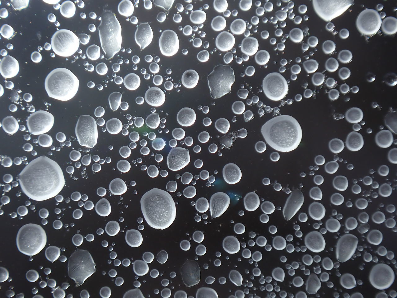 CLOSE-UP OF BUBBLES IN WATER