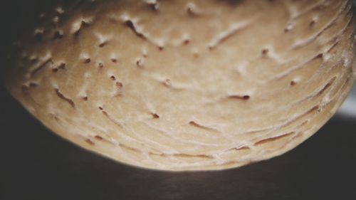Close-up of food on table