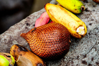 High angle view of fruits on field