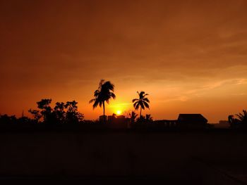 Silhouette palm trees against sky during sunset