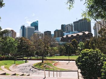 Trees and park in city against sky