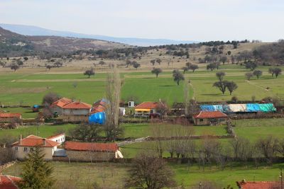 Scenic view of agricultural field and houses against sky