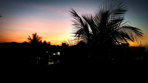 Silhouette palm trees against sky during sunset