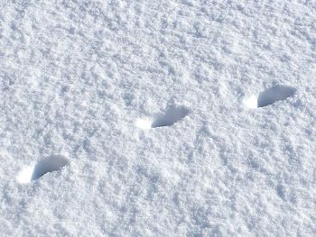 Close-up of white snow on white background