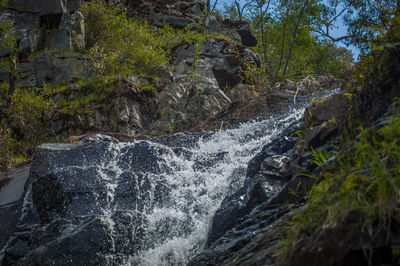 Close-up of waterfall in forest