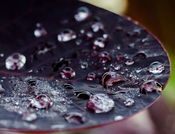 Close-up of water drops on glass