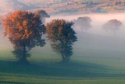 Trees on field against sky during autumn