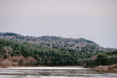 Scenic view of lake in forest against sky