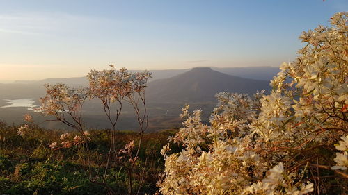 Scenic view of sea and mountains against sky