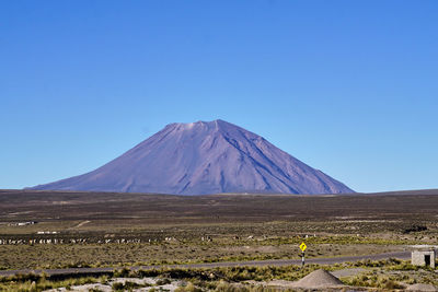 A panoramic view of el misti volcano, peru, with sheep herd in the foreground