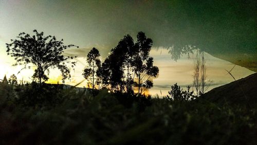 Silhouette trees against sky during sunset