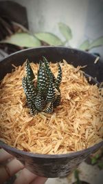 High angle view of food in bowl