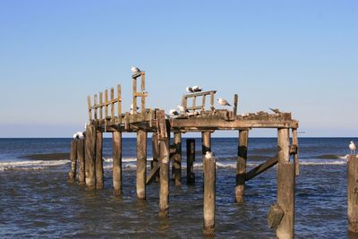 Wooden posts on pier over sea against clear sky