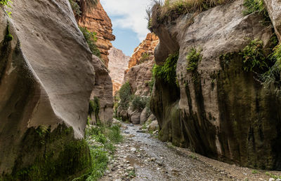 Rock formations in forest