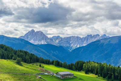 Pascolo alpino