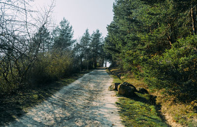 Dirt road amidst trees