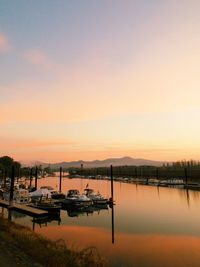 Sailboats in marina at sunset