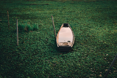 The boat was on the grass-covered water surface.