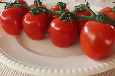 Close-up of tomatoes in plate