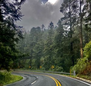 Road amidst trees against sky