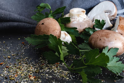 Close-up of mushrooms growing on table