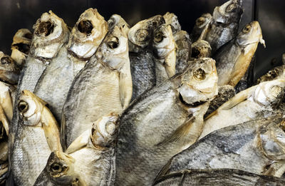 Dried fish on store shelves