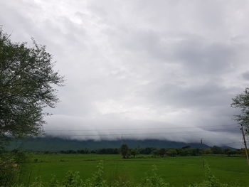 Scenic view of field against sky