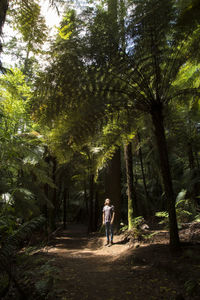 Rear view of woman standing amidst trees in forest