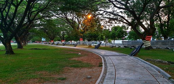 Street amidst trees in park