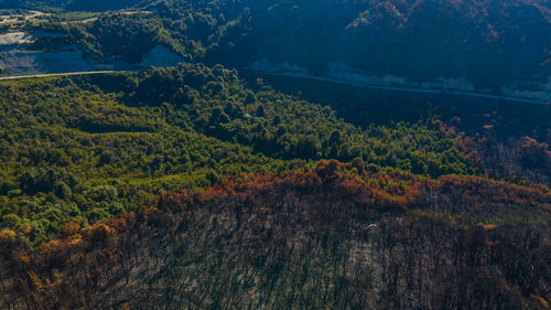High angle view of landscape